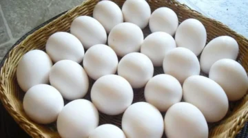 استقرار أسعار كرتونة البيض في الأسواق اليوم الأربعاء 3 نوفمبر 2025